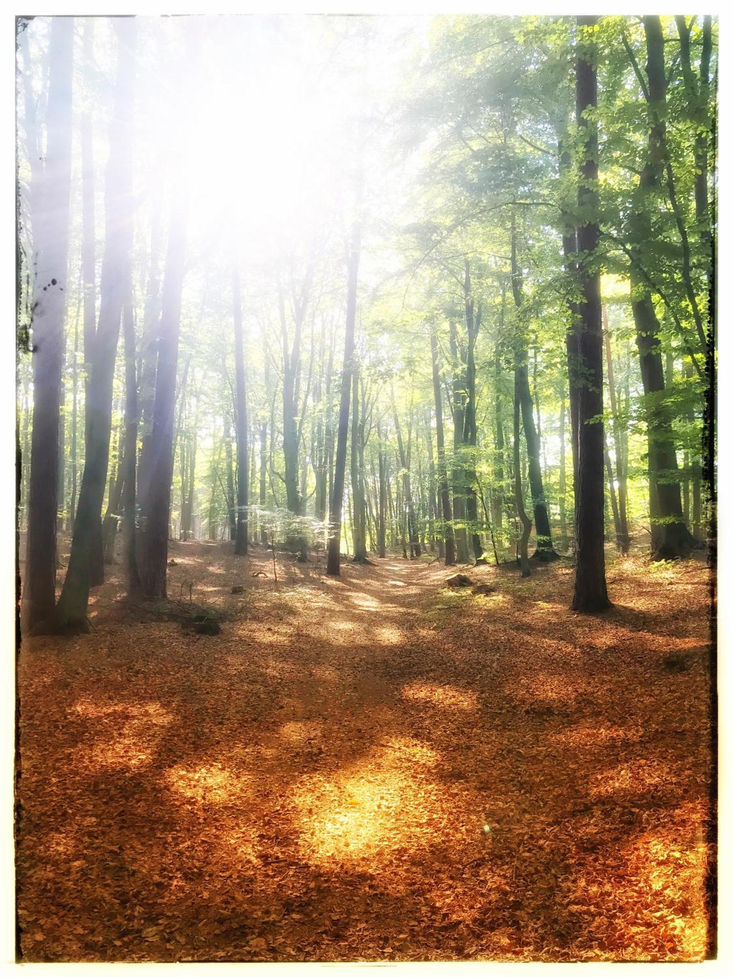 Gasthof Zur Ostsee
