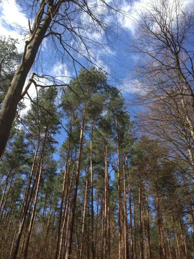 Guest house Pension Zur Ostsee *